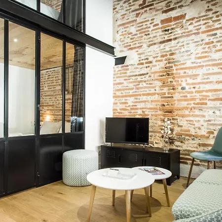 Le Diebold - 2 Climatise * טולוז