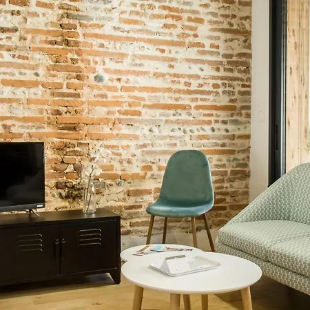 Le Diebold - 2 Climatise Apartment Toulouse